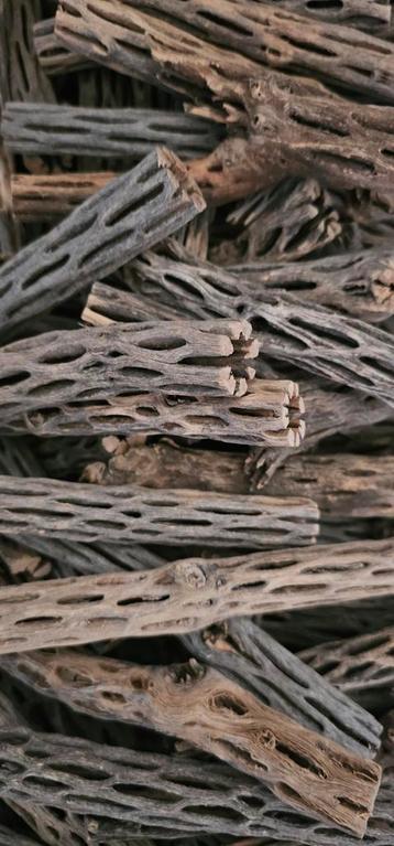 Cholla wood beschikbaar voor biedingen