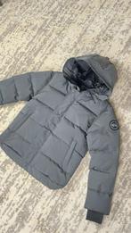 Canada goose macmillan, Kleding | Heren, Jassen | Winter, Verzenden, Zo goed als nieuw, Maat 48/50 (M), Grijs