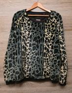 Maison Scotch Mademoiselle, maat 4, 38/40, Ophalen of Verzenden, Zo goed als nieuw, Maat 38/40 (M)