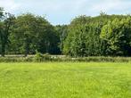 Te huur weidegang, Dieren en Toebehoren, Stalling en Weidegang, Weidegang