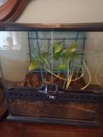 Exoterra 30x30x30 bio actief, Dieren en Toebehoren, Reptielen en Amfibieën | Toebehoren, Ophalen, Zo goed als nieuw