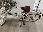 Alpina cargo meisjesfiets 20 inch, Fietsen en Brommers, Fietsen | Meisjes, Ophalen of Verzenden, Zo goed als nieuw, 20 inch