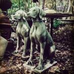 * stenen Jachthond Tuinbeeld zittende hond stenen beeld, Ophalen, Nieuw