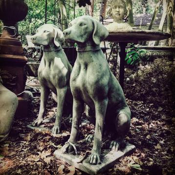 * stenen Jachthond Tuinbeeld zittende hond stenen beeld beschikbaar voor biedingen