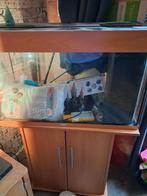 Vissen aquarium incl kast, Ophalen of Verzenden, Gevuld zoetwateraquarium