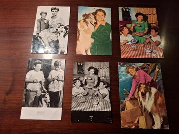 Ansichtkaarten - Lassie (Tv-serie, 60-er jaren) beschikbaar voor biedingen