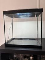 Super fish 30 L aquarium, Dieren en Toebehoren, Vissen | Aquaria en Toebehoren, Ophalen, Zo goed als nieuw, Leeg aquarium