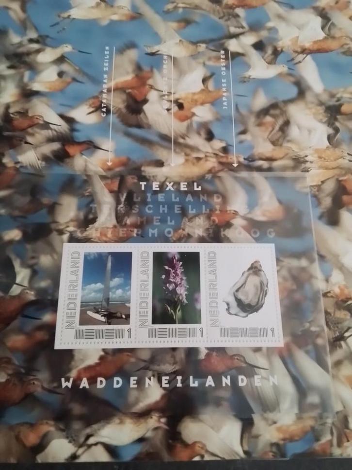 Davo album Ontdek de Wadden. Met 15 x 3 persoonlijke zegels., Postzegels en Munten, Postzegels | Nederland, Ophalen of Verzenden