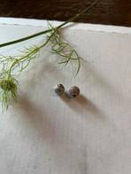 Pandora essence bedels, Pandora, Ophalen of Verzenden, Zo goed als nieuw, 4 bedels of meer