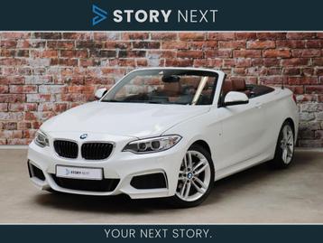 BMW 2 Serie Cabrio 218i High Executive M Sport Pakket Automa beschikbaar voor biedingen
