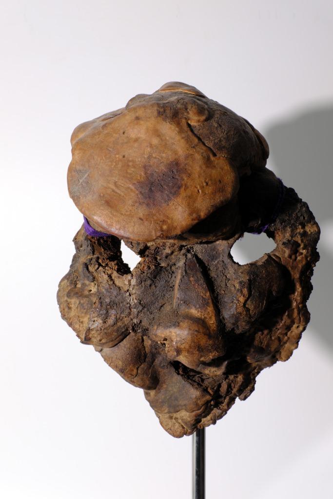 Sjamanistisch masker - Lingzhi Woody Paddenstoel - Nepal, Antiek en Kunst, Kunst | Niet-Westerse kunst, Ophalen of Verzenden