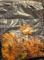 Losse decoratie "herfst" bladeren(groot)! NIEUW!, Ophalen of Verzenden, Nieuw, Binnen