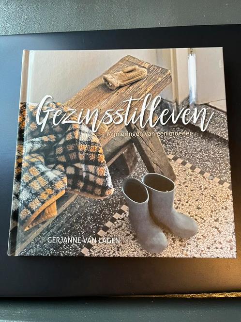 Gerjanne van Lagen - Gezinsstilleven, Boeken, Godsdienst en Theologie, Zo goed als nieuw, Ophalen of Verzenden