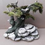 Aquarium - Japanse tree, Ophalen, Zo goed als nieuw, Plant(en), Steen of Hout