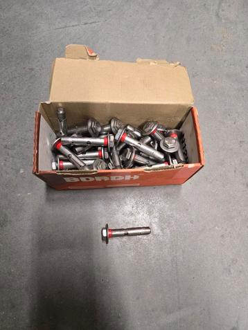 45 stuks RVS Borgh Hulsanker bouten 10x70