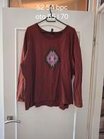 Longsleeve 52 54, Kleding | Dames, Maat 46/48 (XL) of groter, Ophalen of Verzenden, Zo goed als nieuw, Lange mouw