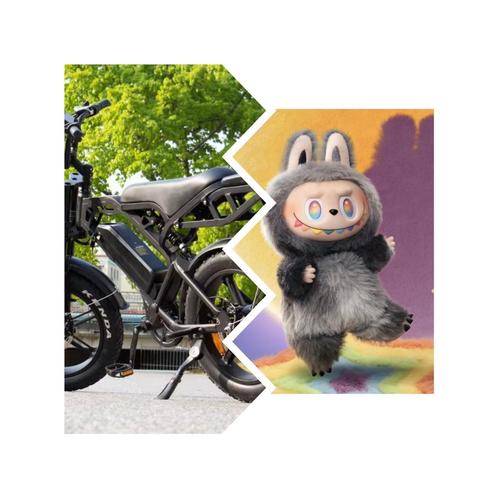 LABUBU’S & FATBIKES SALE ZIE BESCHRIJVING, Tickets en Kaartjes, Kortingen en Cadeaubonnen, Eén persoon, Overige typen, Cadeaubon