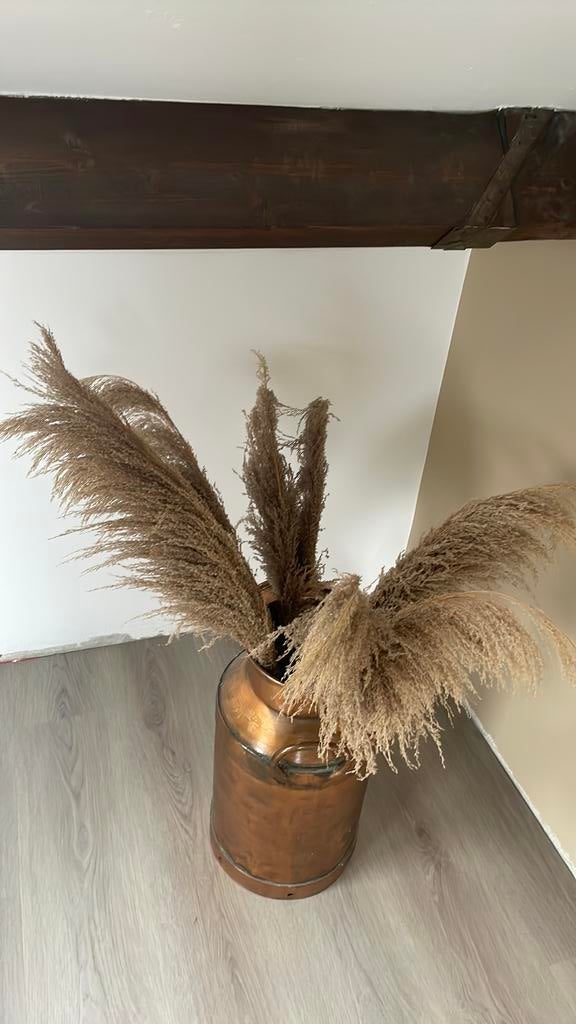 Pampaspluimen decoratie, Ophalen of Verzenden, Gebruikt