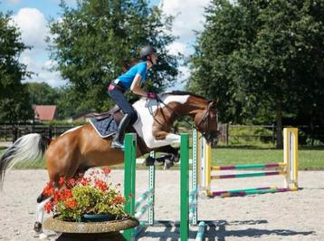 Les aangeboden Dressuur/Springen. Hulp paarden met uitdaging