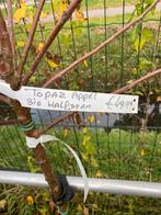 Appel halfstam Bio fruit bomen 3 soorten €49,95 pst, Tuin en Terras, Ophalen of Verzenden, In pot, Appelboom, Lente
