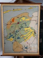 Friesland (Bakker en Rusch), Antiek en Kunst, Antiek | Schoolplaten, Ophalen of Verzenden, Natuur en Biologie