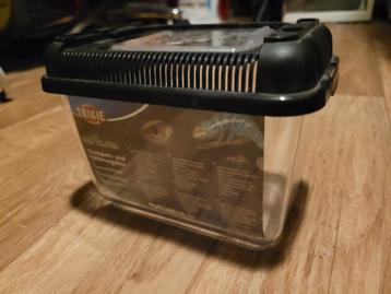 Reismandje/kweekbakje beschikbaar voor biedingen