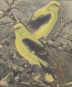 W.A. Wassenaar (1873-1956): Wielewalen, kleurenlitho ca 1927, Ophalen of Verzenden