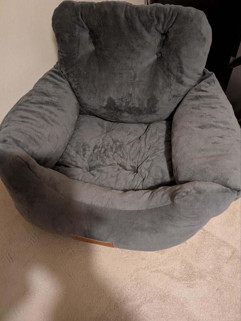 Autostoeltje hond, Ophalen