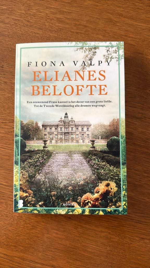 Fiona Valpy - Elianes belofte, Boeken, Literatuur, Zo goed als nieuw, Nederland, Ophalen of Verzenden
