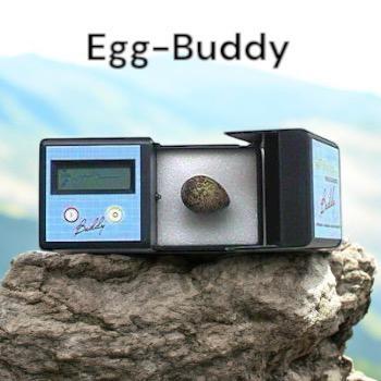 Egg-buddy hartslag meter vogel eieren beschikbaar voor biedingen