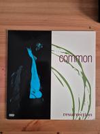 Common - Resurrection, Ophalen of Verzenden, 2000 tot heden, Zo goed als nieuw, 12 inch