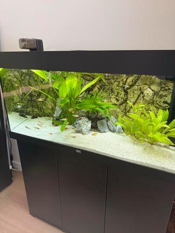 Juwel rio 180 liter helialux spectrum 1000 met controller beschikbaar voor biedingen