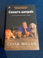 Cesar Millan - Cesars aanpak, Honden, Cesar Millan, Ophalen of Verzenden, Zo goed als nieuw