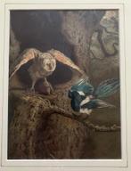 Arthur Charles Dodd 1887 vechtende vogels, Verzenden