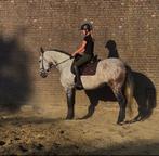 Instructie Horsemanship, Diensten en Vakmensen, Dieren | Paarden | Verzorging, Oppas en Les