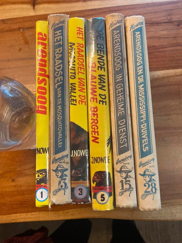 Arendsoog Serie - Nrs. 1, 3, 3, 5, 15, 28, Boeken, Kinderboeken | Jeugd | onder 10 jaar, Gelezen, Fictie algemeen, Ophalen of Verzenden