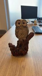 Beeld uil, Ophalen, Zo goed als nieuw, Dier