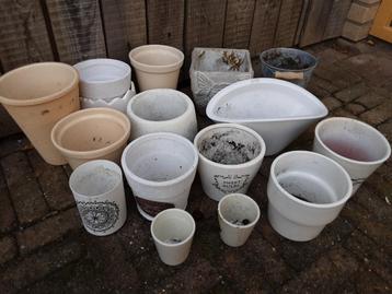 GRATIS Witte Bloempotten  beschikbaar voor biedingen