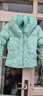 Erg  mooie  dikke  jas  voor  wintersport    S   Nickelson, Ophalen of Verzenden, Zo goed als nieuw, Jack