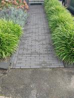 Koopje, gebakken bestrating!, Ophalen of Verzenden, Nieuw, Beton, Klinkers