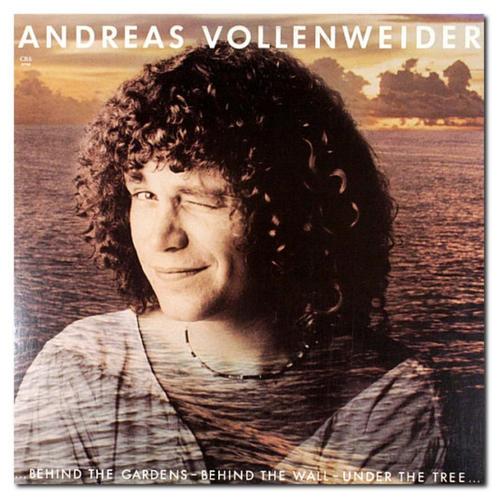 Andreas Vollenweider CD LP, Cd's en Dvd's, Cd's | Pop, Zo goed als nieuw, 2000 tot heden, Ophalen