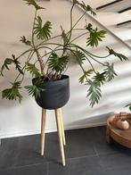 Plantenbak op Poten - Jaren '60 Retro, Minder dan 60 cm, Rond, Ophalen of Verzenden, Zo goed als nieuw