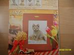 NIEUW, Borduurpakket, British Shorthair. Verkoop ook DMC, Hobby en Vrije tijd, Borduren en Borduurmachines, Ophalen of Verzenden