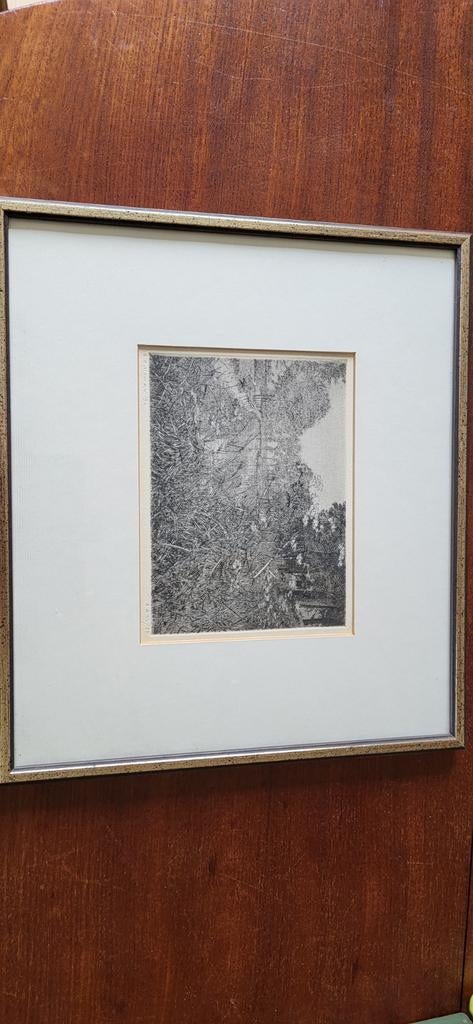 Ets Boslandschap R.Homan, Ophalen of Verzenden