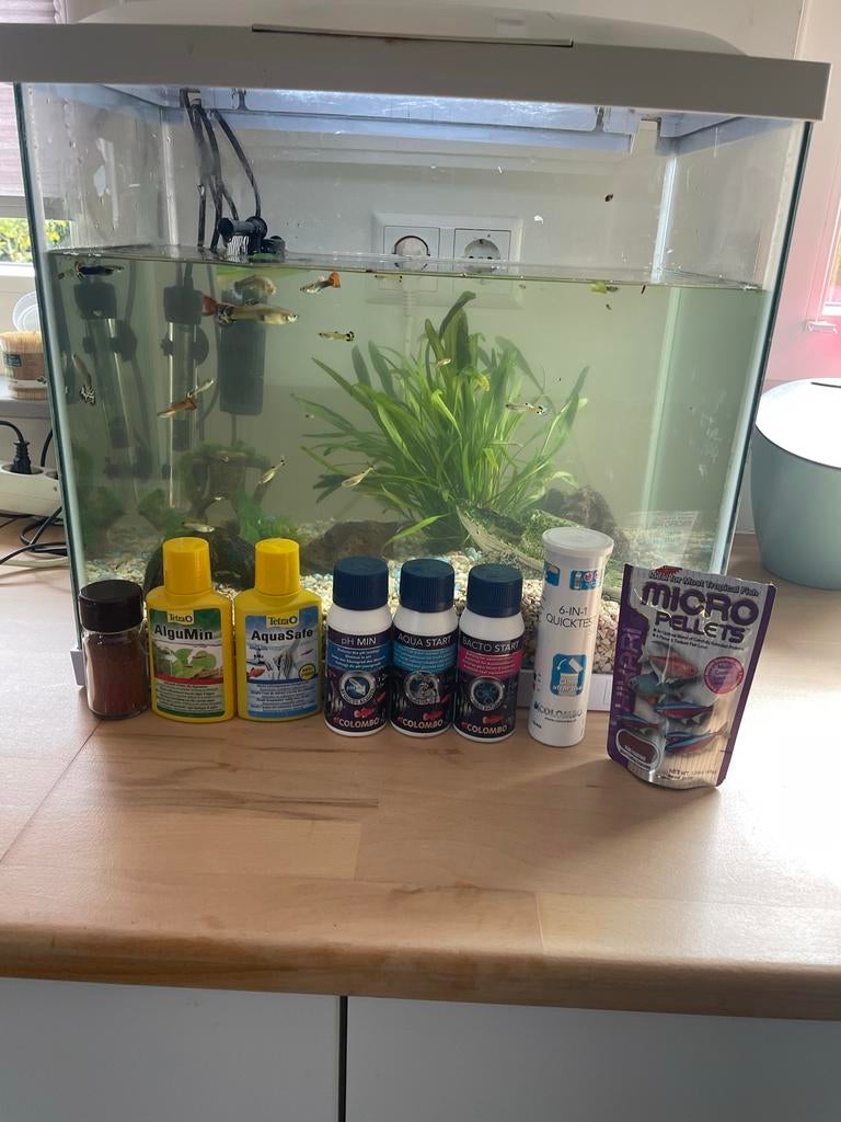 Aquarium + toebehorenen, Ophalen, Leeg aquarium
