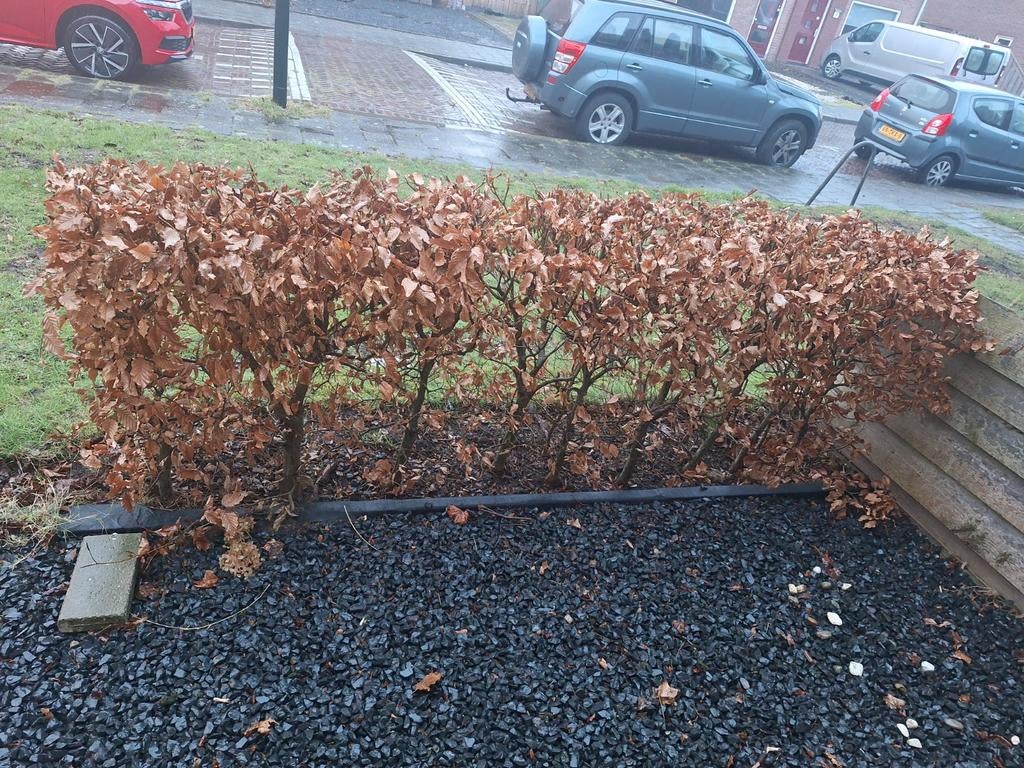 Basalt split voor tuin en oprit, Tuin en Terras, Grind, Keien en Split, Ophalen, Gebruikt, Antraciet, Split