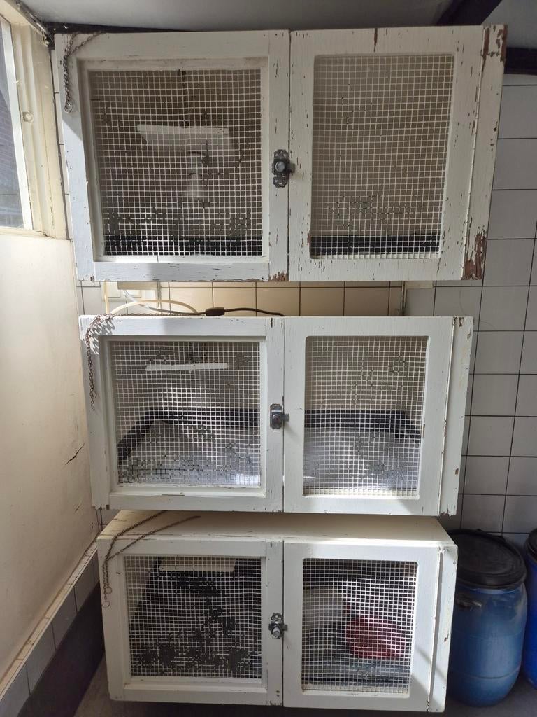 3 Kweekhokken voor kuiken opfok., Dieren en Toebehoren, Vogels | Hokken en Kooien, Ophalen, Gebruikt, Hout, Broedkooi of Kweekkooi