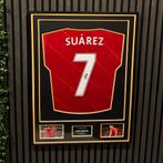 Luis Suarez gesigneerd ingelijst Liverpool shirt met A1 COA, Verzamelen, Verzenden, Nieuw, Buitenlandse clubs, Shirt