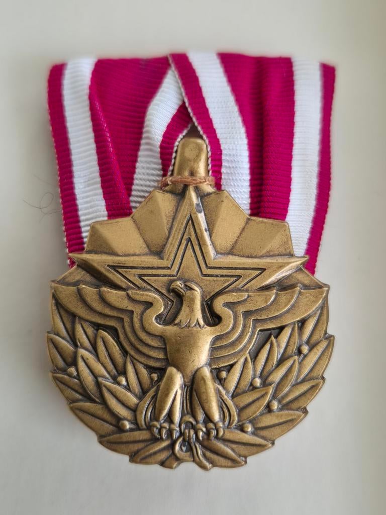 Amerikaanse medaille Nederlands militair opgemaakt, Ophalen of Verzenden, Landmacht, Nederland, Lintje, Medaille of Wings