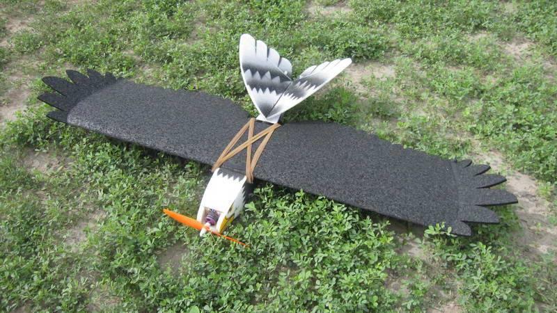 BlackEagle 1200mm | ARF EPP-Foam + Elektronica | NIEUW, Ophalen of Verzenden, Nieuw, Elektro